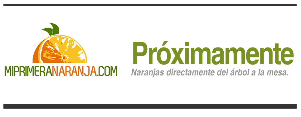 Naranjas directas del arbol al a mesa